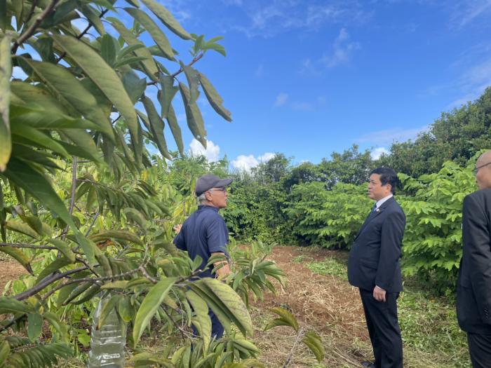 希少フルーツ農家