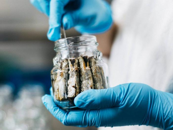 正_水産食料品製造業