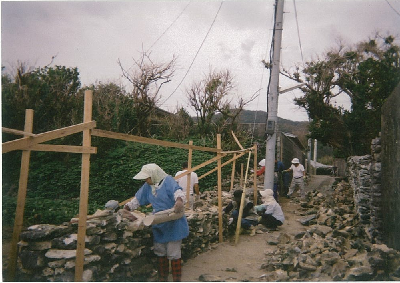 与路島サンゴ石垣2