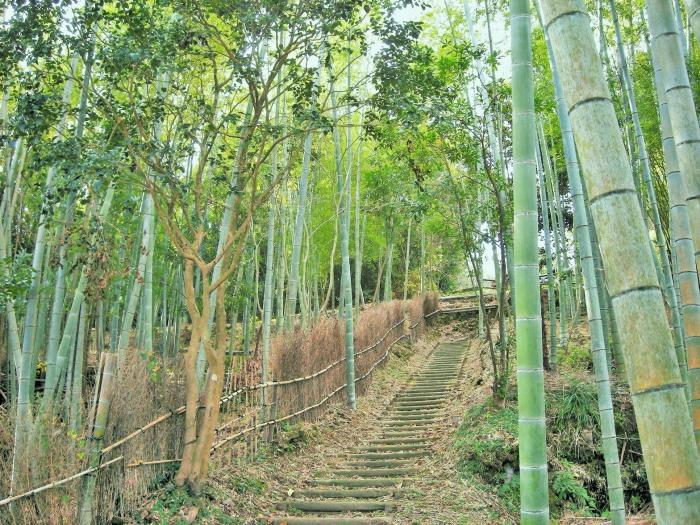 美山未来つなぎ隊1