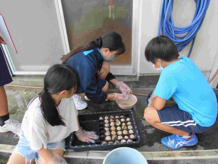 岸良学園2