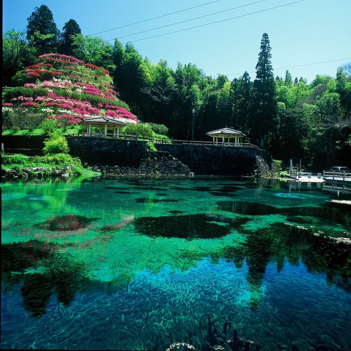 霧島山麓丸池湧水