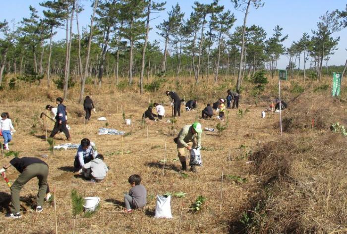 植樹活動（森林ボランティア連絡会）小サイズ