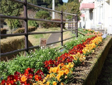 霧島市立安良小学校