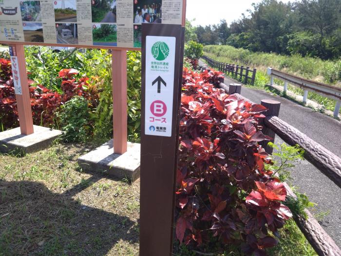 トレイル標柱写真2