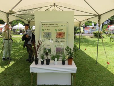 みどりの感謝祭_花の苗提供