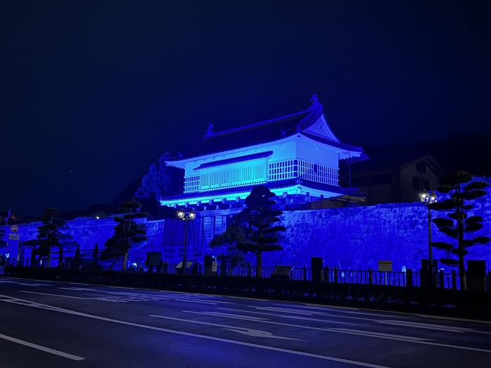 鶴丸城跡ライトアップ_HP掲載用2