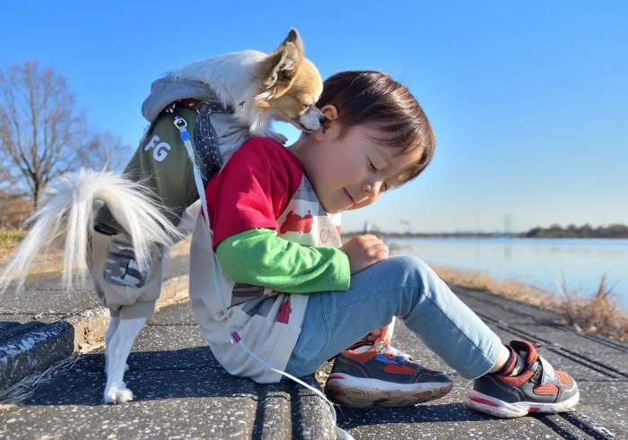 H29_ペットフード協会賞