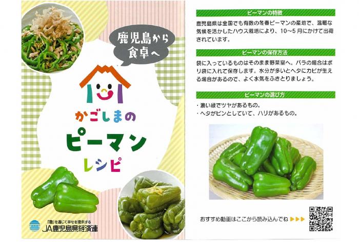 ピーマンパンフ