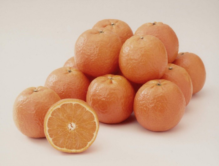 屋久島のたんかん