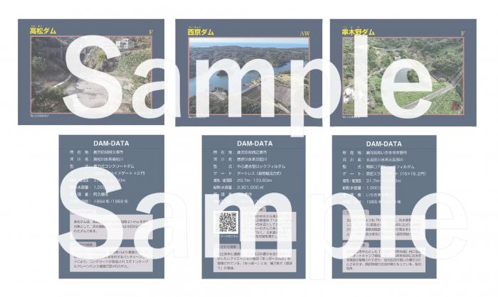 ダムカードサンプル