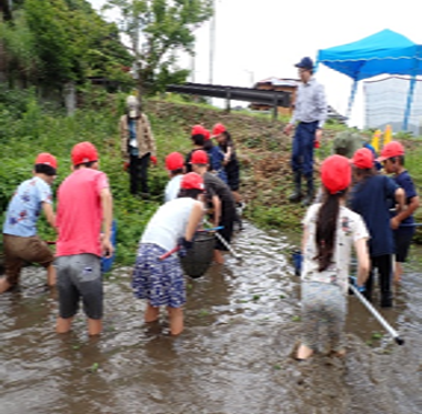 0805_04_加治木小学校生き物学習会を開催