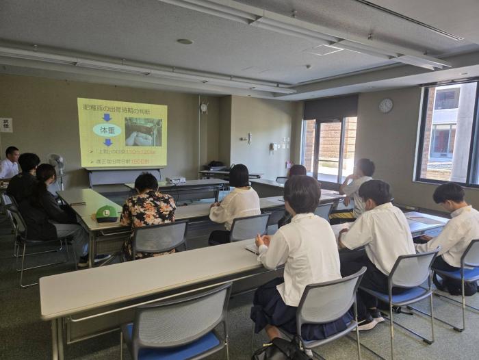 豚オープンキャンパス