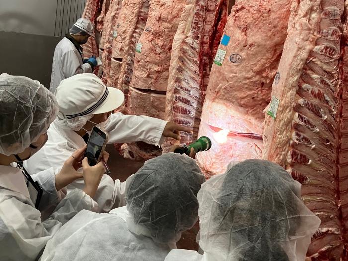 市場性の高い枝肉について説明を受ける