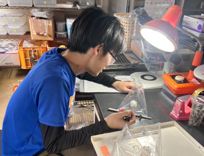 害虫のトラップ調査（病理昆虫研究室）