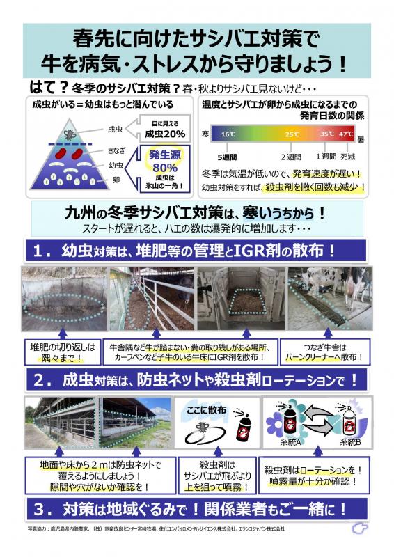 (都道府県担当者限り)春先に向けたサシバエ対策リーフレット