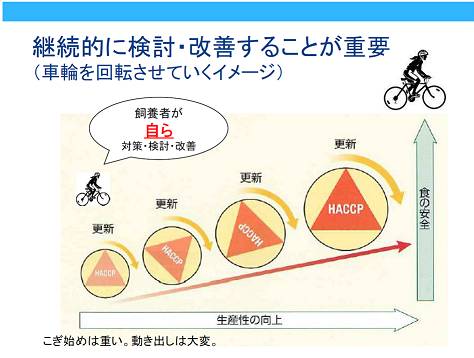HACCP推進イメージ