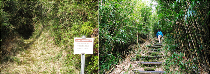 登山道入口と登山道