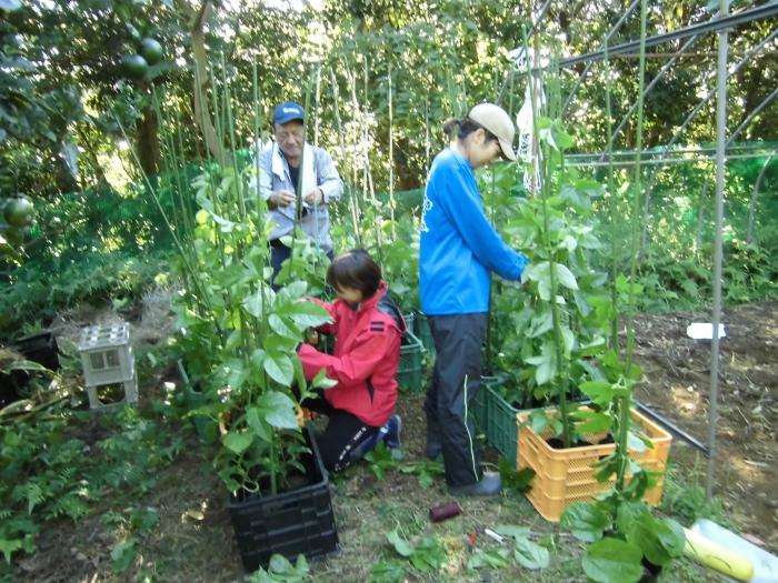 援農体験者に指導、移住へ