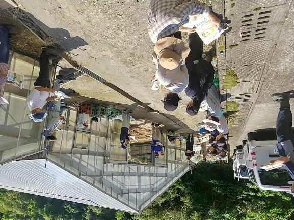 野菜写真（5月ミニ情報）