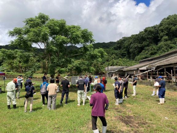 畜産写真（7月ミニ情報）