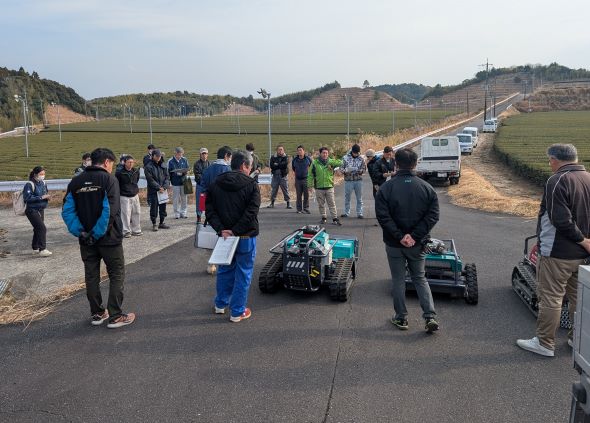 お茶写真（1月）