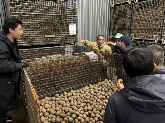 ばれいしょ（2月）