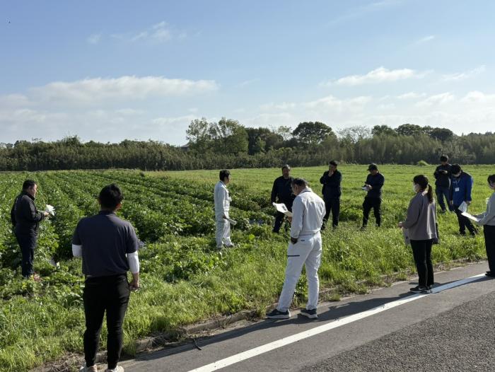 野菜部会現地検討会1