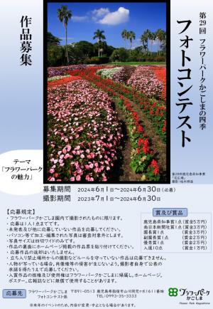 フォトコンテスト