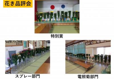 20250307大塚花き品評会-1