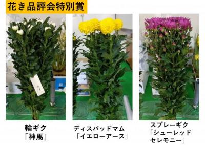20250307大塚花き品評会-2