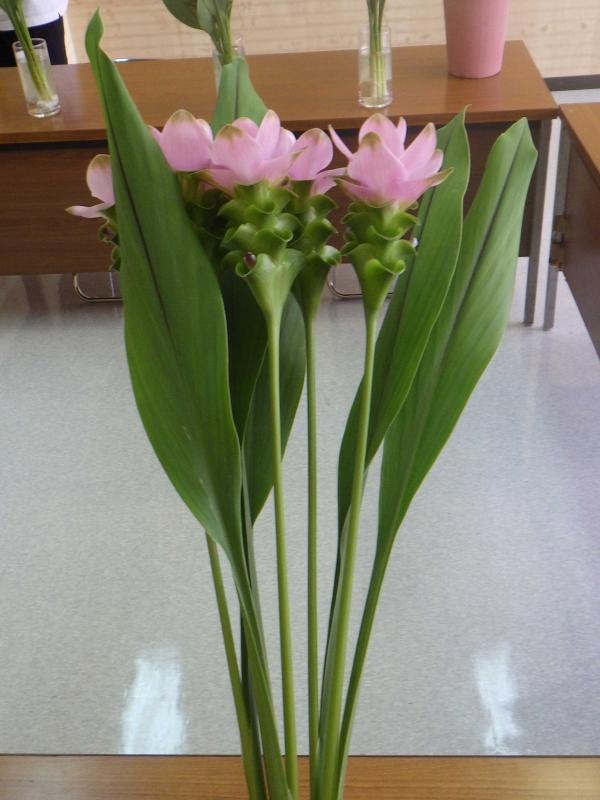 フェアリーピンク