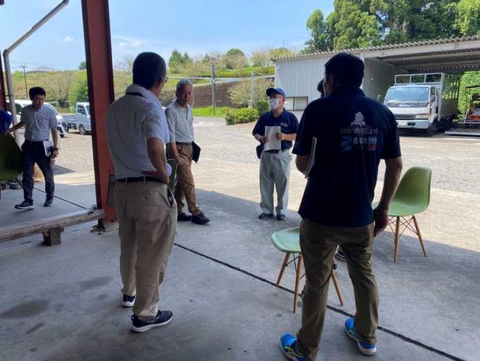 フェアリーピンク