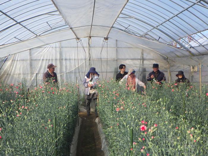 さつま富士グループ2