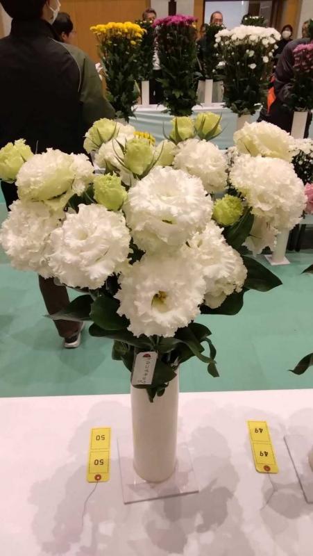 トルコギキョウ