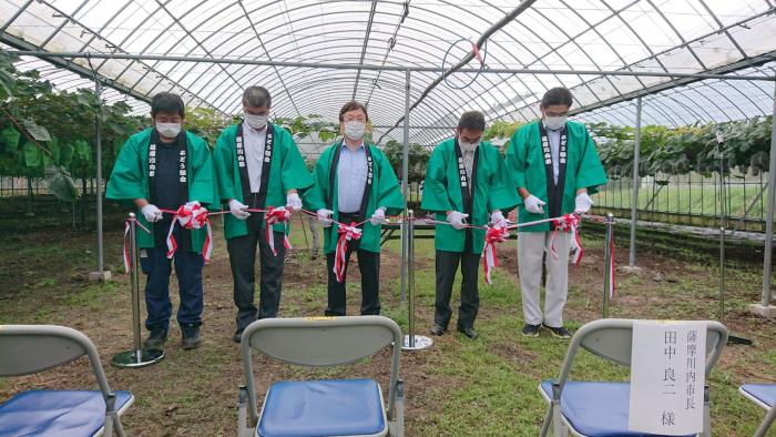 ぶどう挟み入れ式