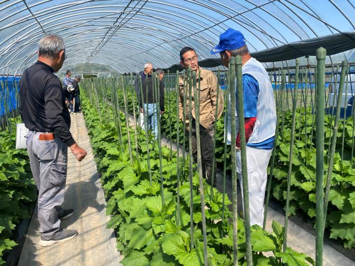 ほおずき検討会