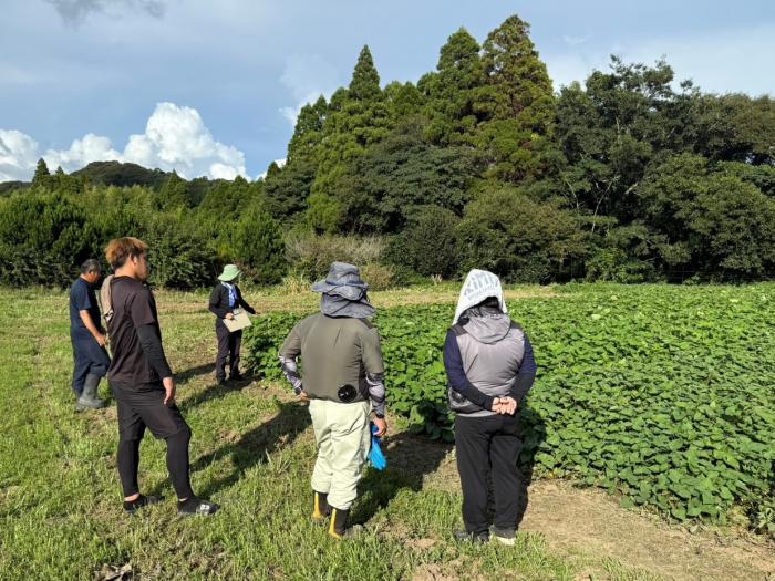 かんしょ生産組合現地研修会