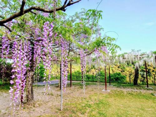 03 公園（引き）4時03分