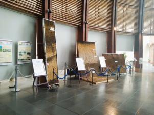 地層剥ぎ取り資料