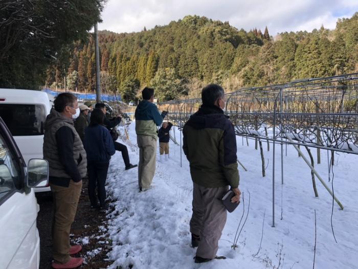 ナシジョイント