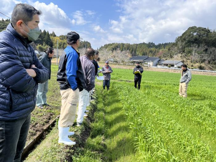 麦類現地検討会