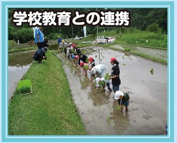 11学校との連携