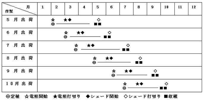 秋スプレーギクシェード栽培の作型