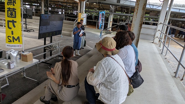 12夫婦研修（家畜市場）