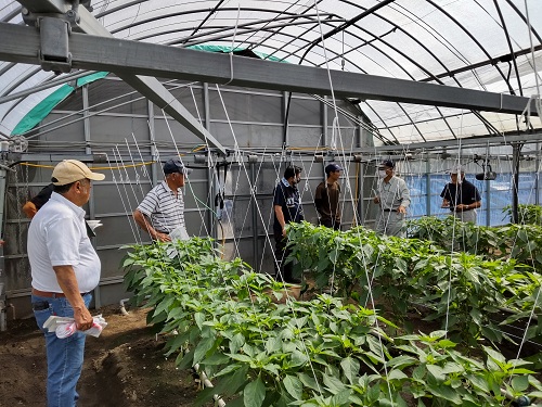 新規就農巡回（東部）