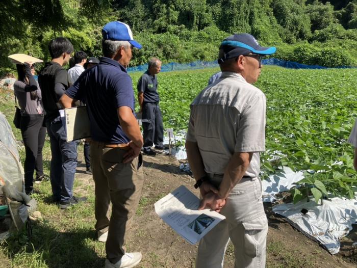 いんげん検討会