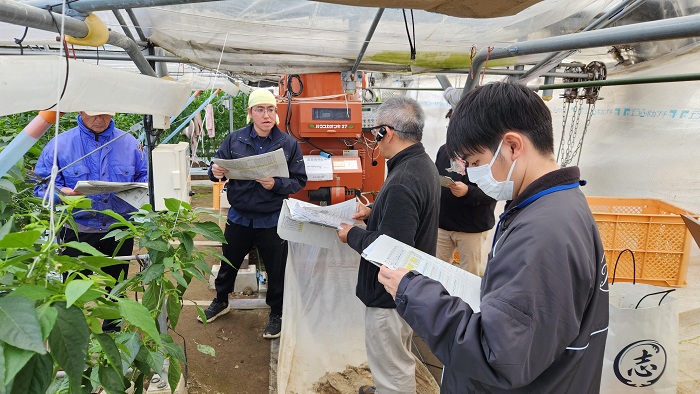 ピーマン・きゅうりコンサル