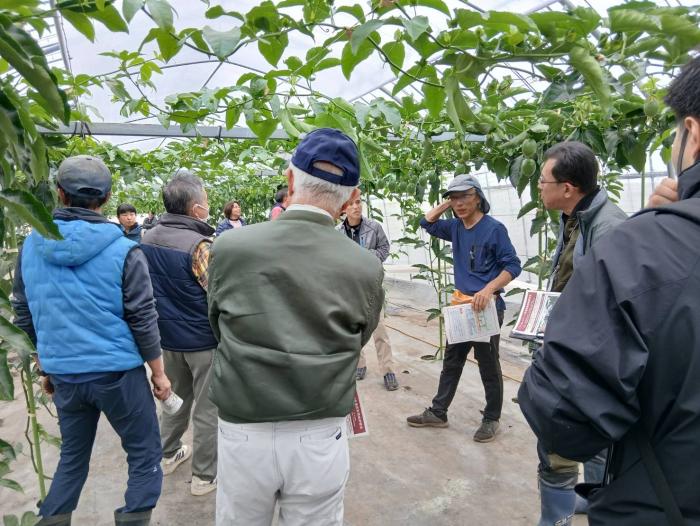 研修のようす（果樹）