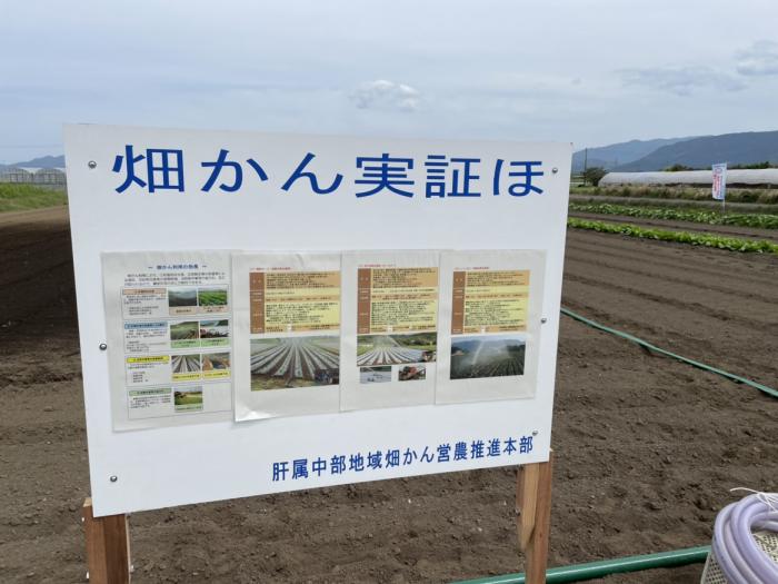 畑かん実証ほ看板